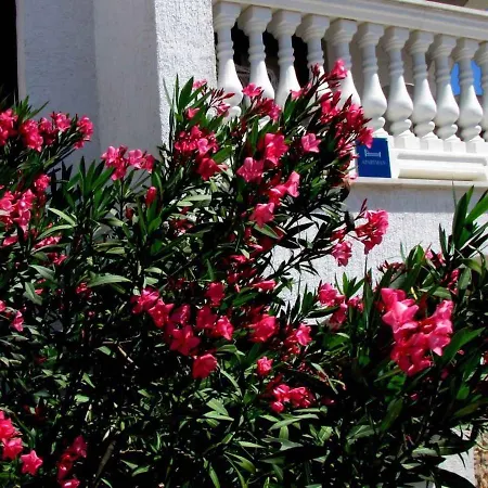 In Malinska/insel Krk 14439 Appartamento *